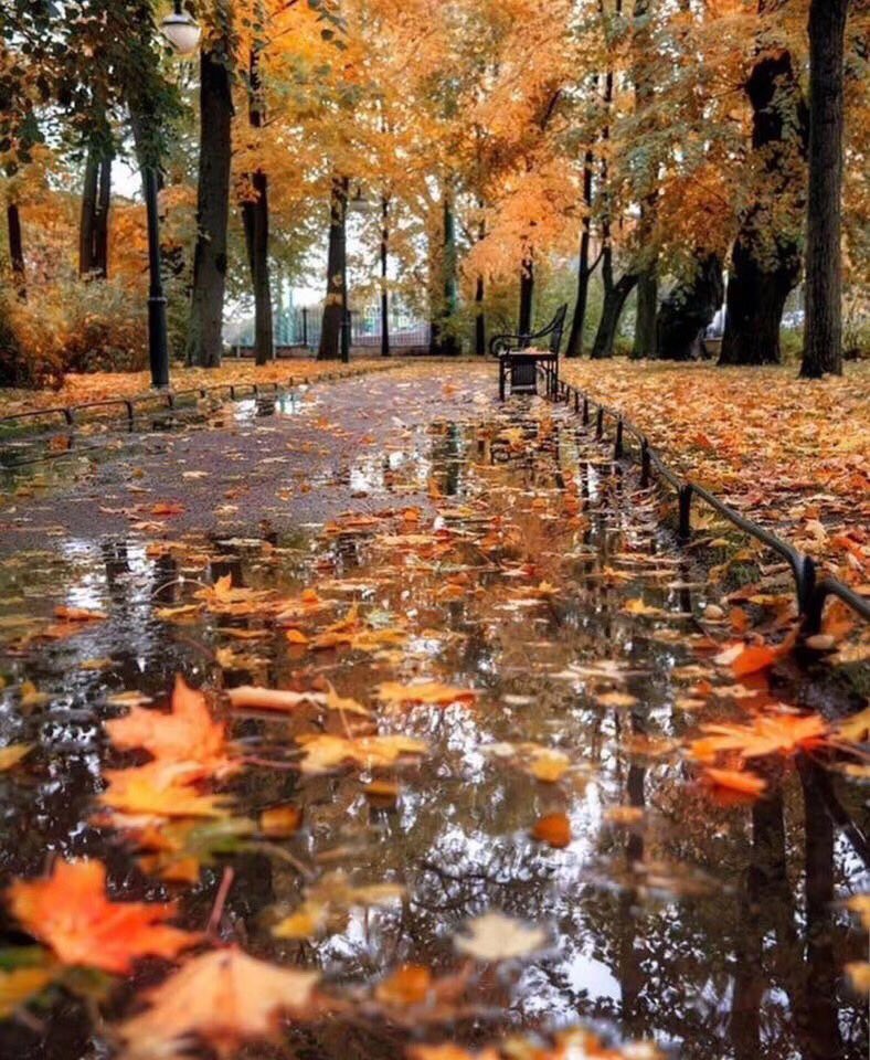 JACKFU2016's tweet image. Have a good day