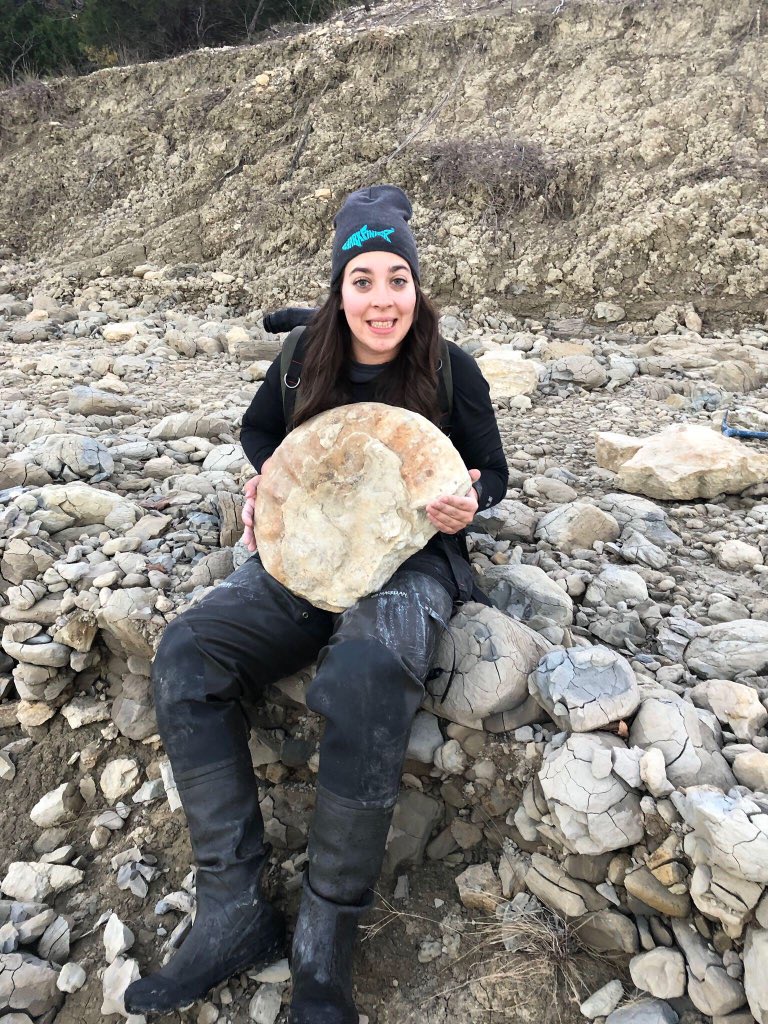 inyourwindow212's tweet photo. Thank you @PaleoExplorer  finding this amazing ammonite! The level of learning happening this week was beyond my expectations, but @PICKeducation did amazing ! This knowledge is going straight to classroom ! @AustinMntessori @EctorCountyISD #findthebiggestammonite https://t.co/1hbXid9ThI