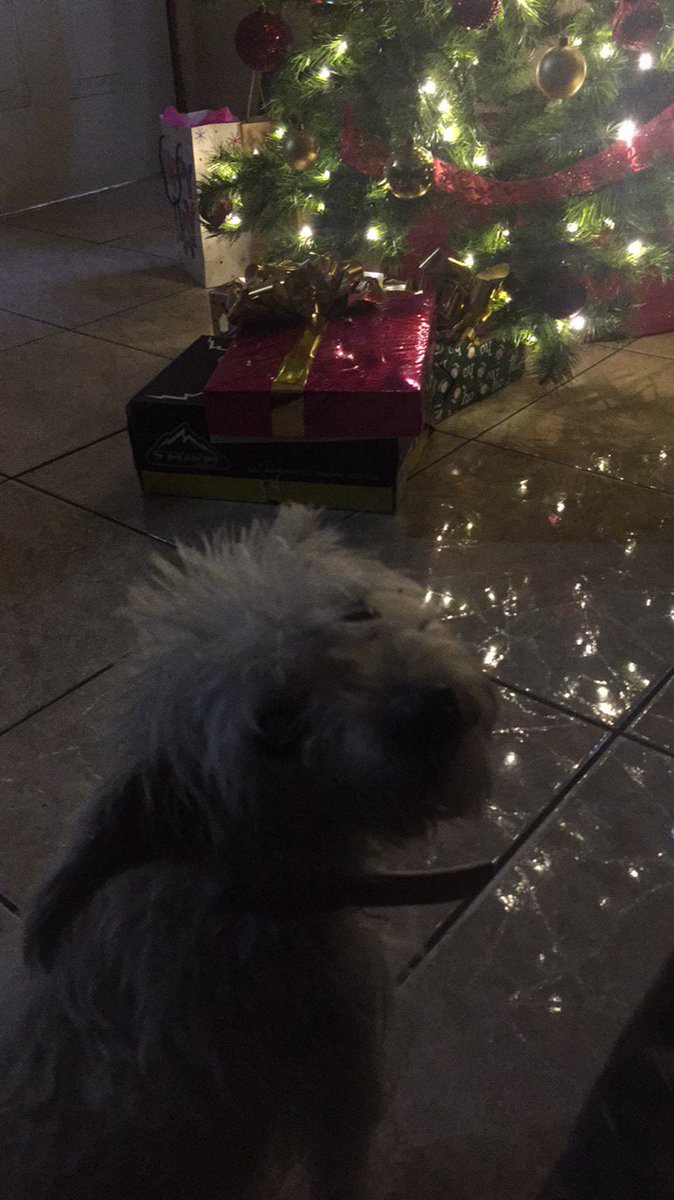 JudithCM_'s tweet image. "tons, cual es mio?"