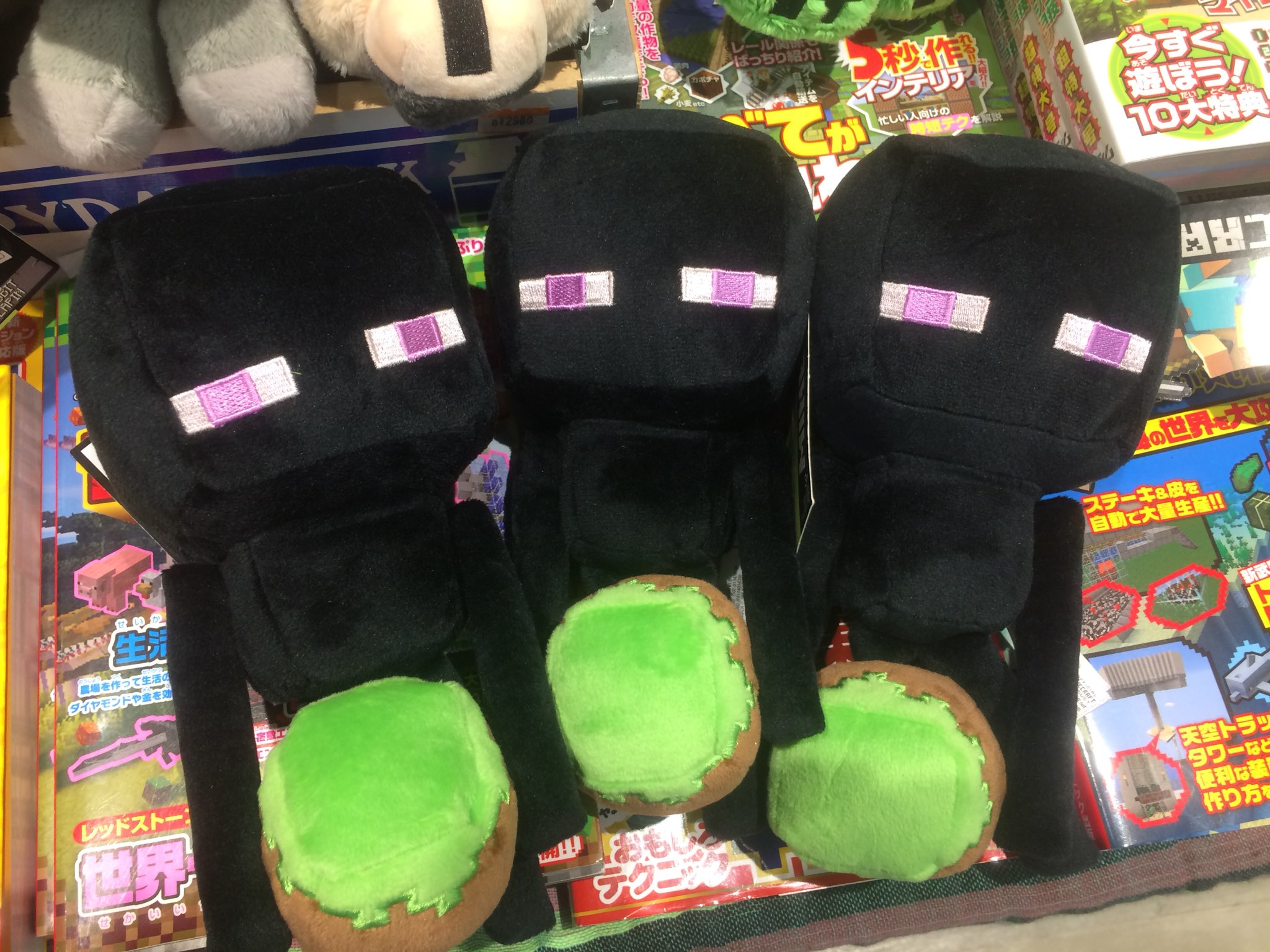 ヴィレッジヴァンガードららぽーと立川立飛 エンダーマンぬいぐるみ 奇跡の再入荷 税抜き1800円です T Co Mdkpwy0emx Twitter