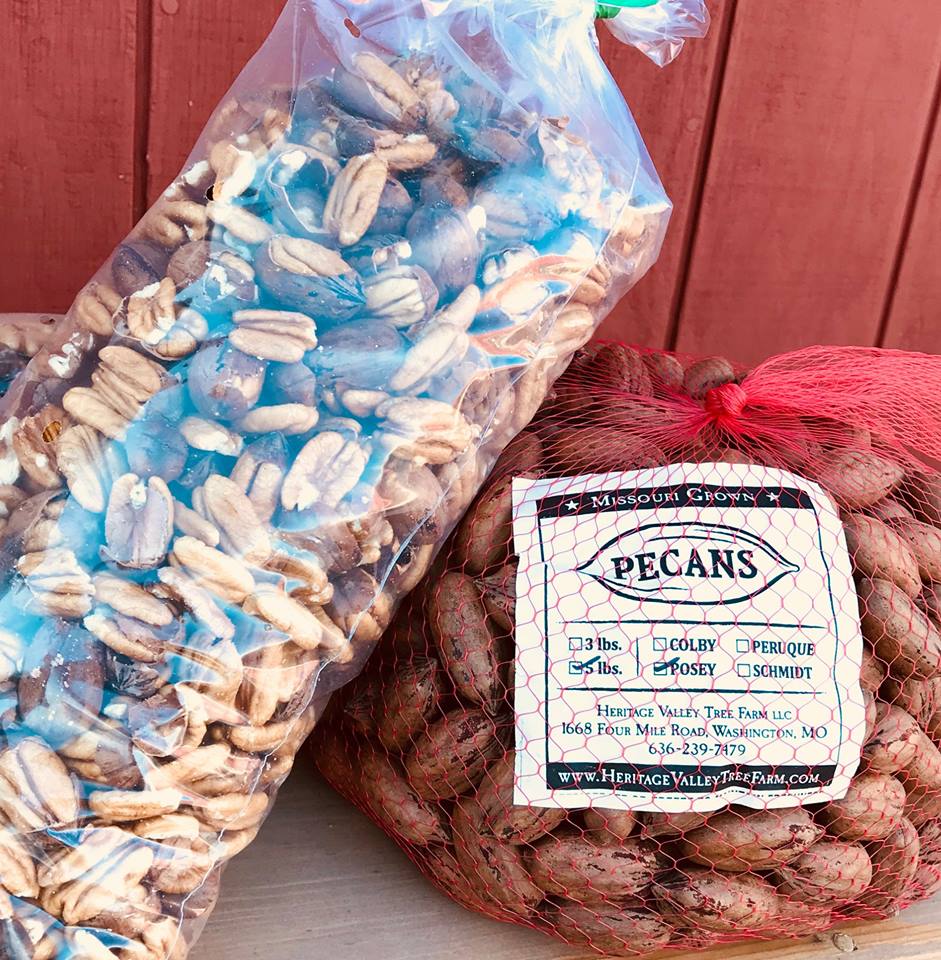 hvtreefarm's tweet photo. 🌲Opening Day for Christmas Trees and our Christmas Shop is Friday, November 23 at 9am. 🐿️ Our farm-grown pecans are now available CRACKED as well as in-shell. Here are peeks of just a few things you'll find when you visit! #HVTF #HeritageValleyTreeFarm #MOpecans #agrimissouri https://t.co/kRNIs4XQUI