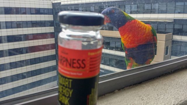 SupersiaNatural's tweet photo. Amongst these high rises this little rainbow bird is curious for SHARPNESS, is it the color similarity or the goodness which he is attracted to!! So, We decided to leave this package to him, and introduced a new one for our Free Spirited humans!⠀
. ⠀… https://t.co/begamp57X1 https://t.co/oD8FN90La2