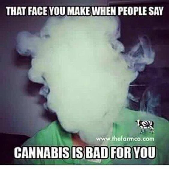 stinksack's tweet photo. @stinksack #smellproof #odorless #stinksack #stealth #cannabis #marijuana #dabs #extracts #edibles #headies #kush #cancer #indica #newyorkcity #smokeweedeveryday #cbd #thc #jayz #snoopdog #wutangclan #cypresshill #cannabis #bassnectar #festivals #burning… https://t.co/4mzoXuitKV https://t.co/CKGAsdLtNT