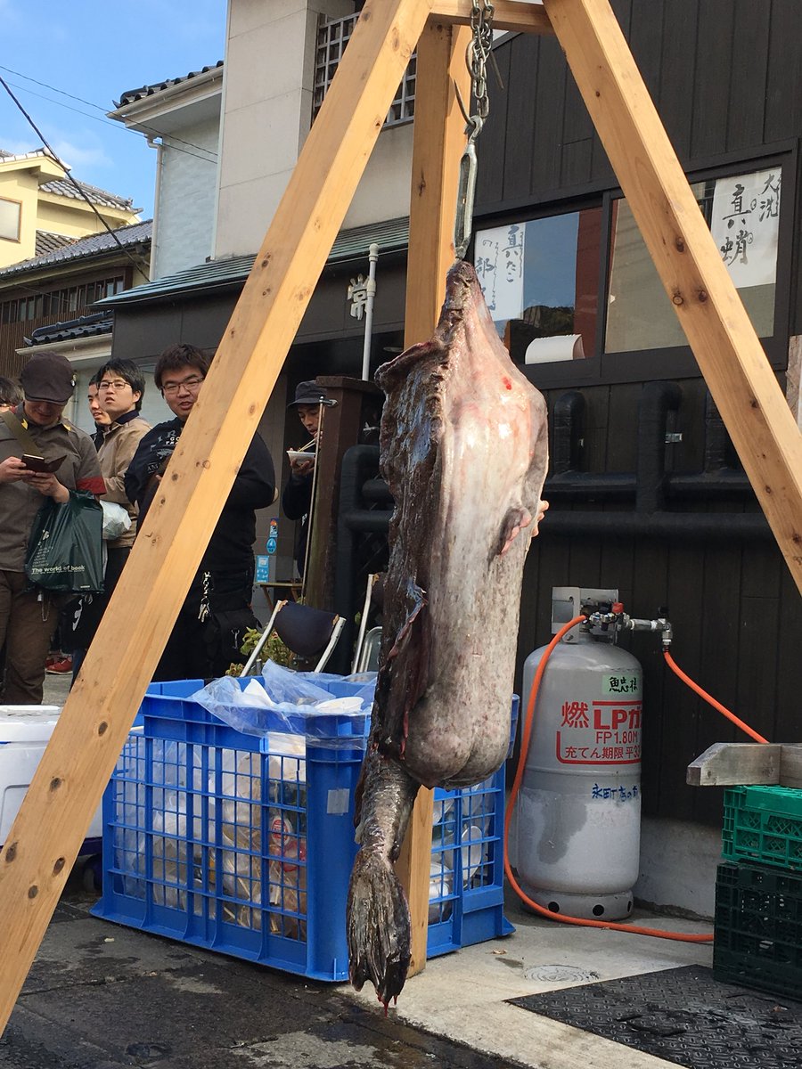 あんこう吊るし切り