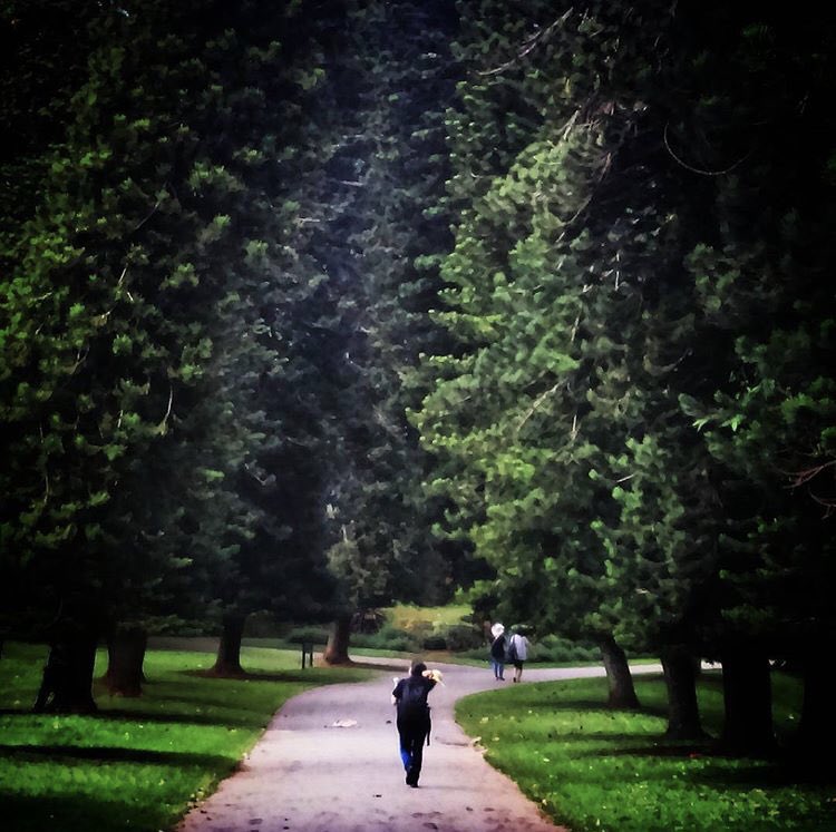 KumuduVG's tweet photo. Life is a combination of happiness and sorrow. Some people coming our life and make it beautiful.Make beautiful memories. But no one want to stay with that shitty memories. So, we live with that beautiful memories in our whole lifetime. it's the nature of human.
#travelnotesbykmd https://t.co/ZtpN5HX7kn