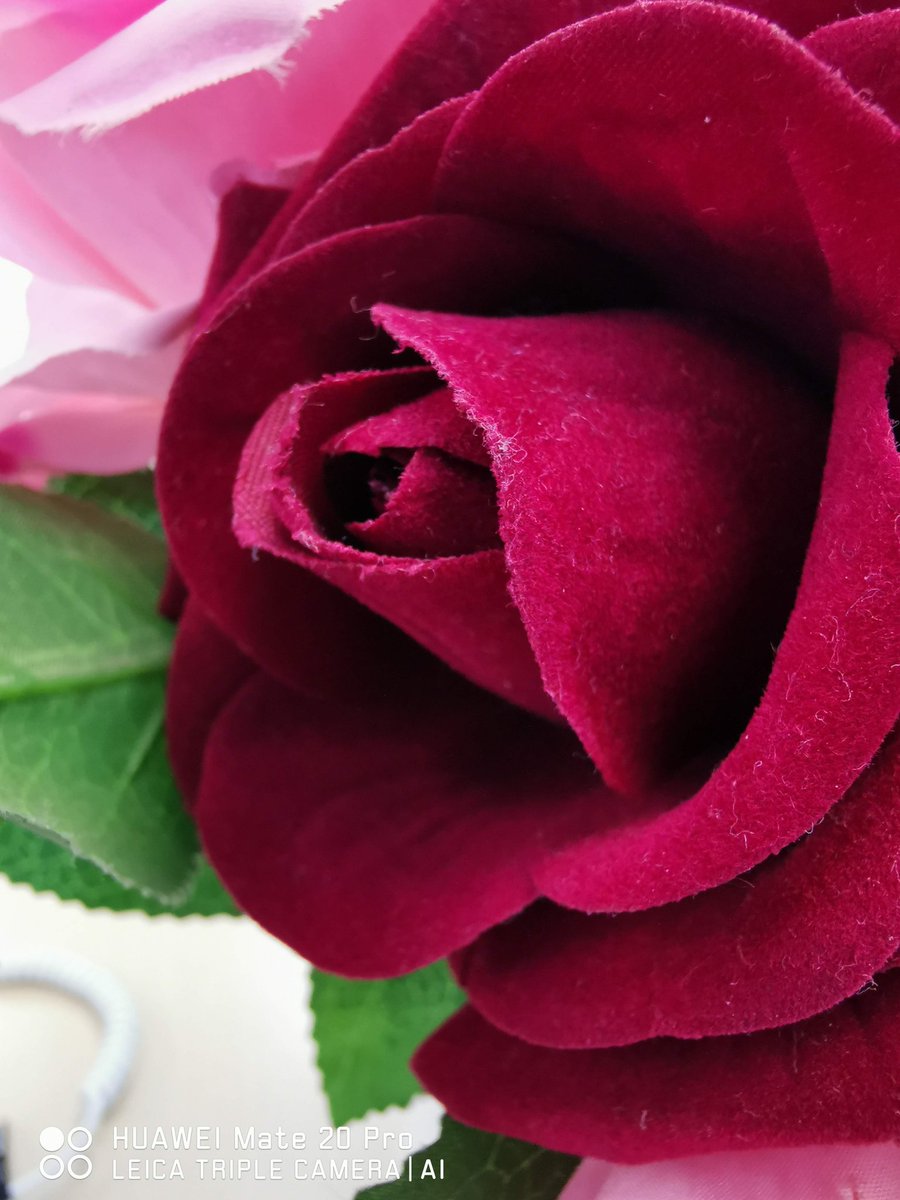 TechKuya's tweet image. Huawei Europe's Walter Ji has revealed the company's plans for 10x optical zoom quad-camera phones in 2019. Here are some shots taken at 5x zoom on the Mate 20 Pro. Notice anything?

#HuaweiMate20Pro #AHigherIntelligence #opticalzoom #HuaweiPH #TechKuya