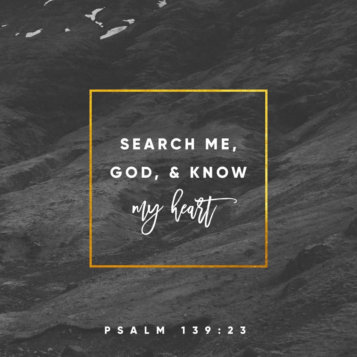 WVNinjaGranny's tweet photo. #SearchMyHeart #UseMeLord #ForYourPurpose #TeamJesus https://t.co/PaSDvE7ZYD