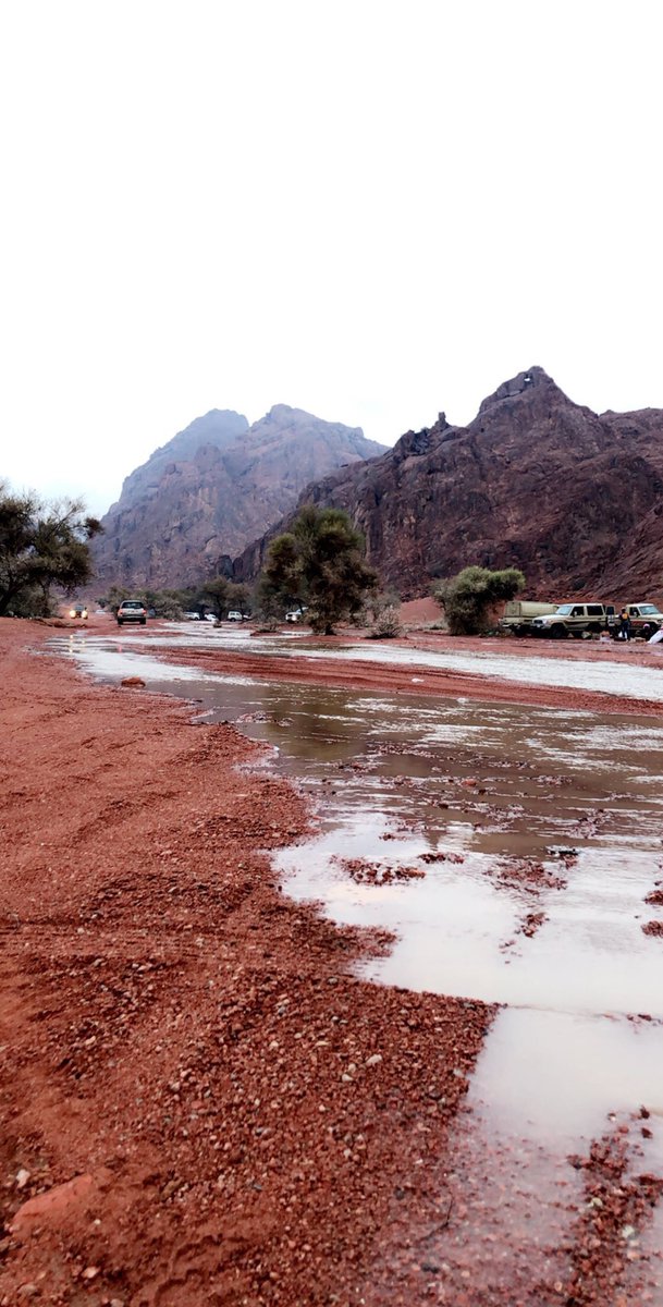 Laiiyil's tweet photo. #حايل_الان
غطى سمّاك الغيم في رجوى مطر ،
وأنتِ على قلب المطر أغلى مدينة 🌧♥️ https://t.co/l9KLsB0rx4