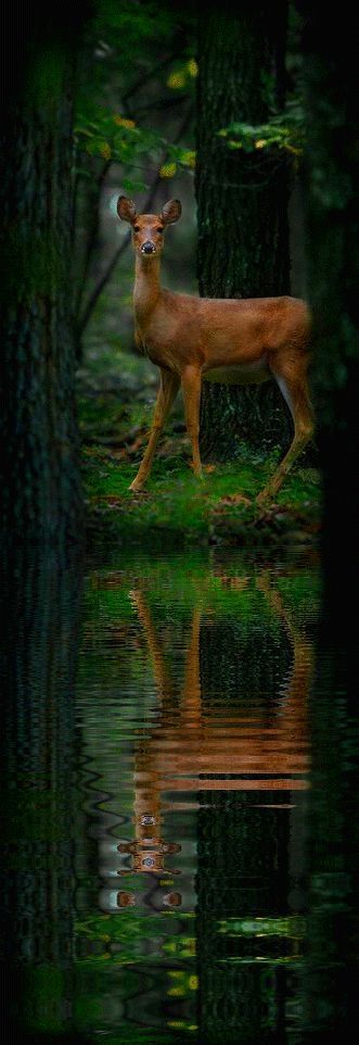 Natural pic...