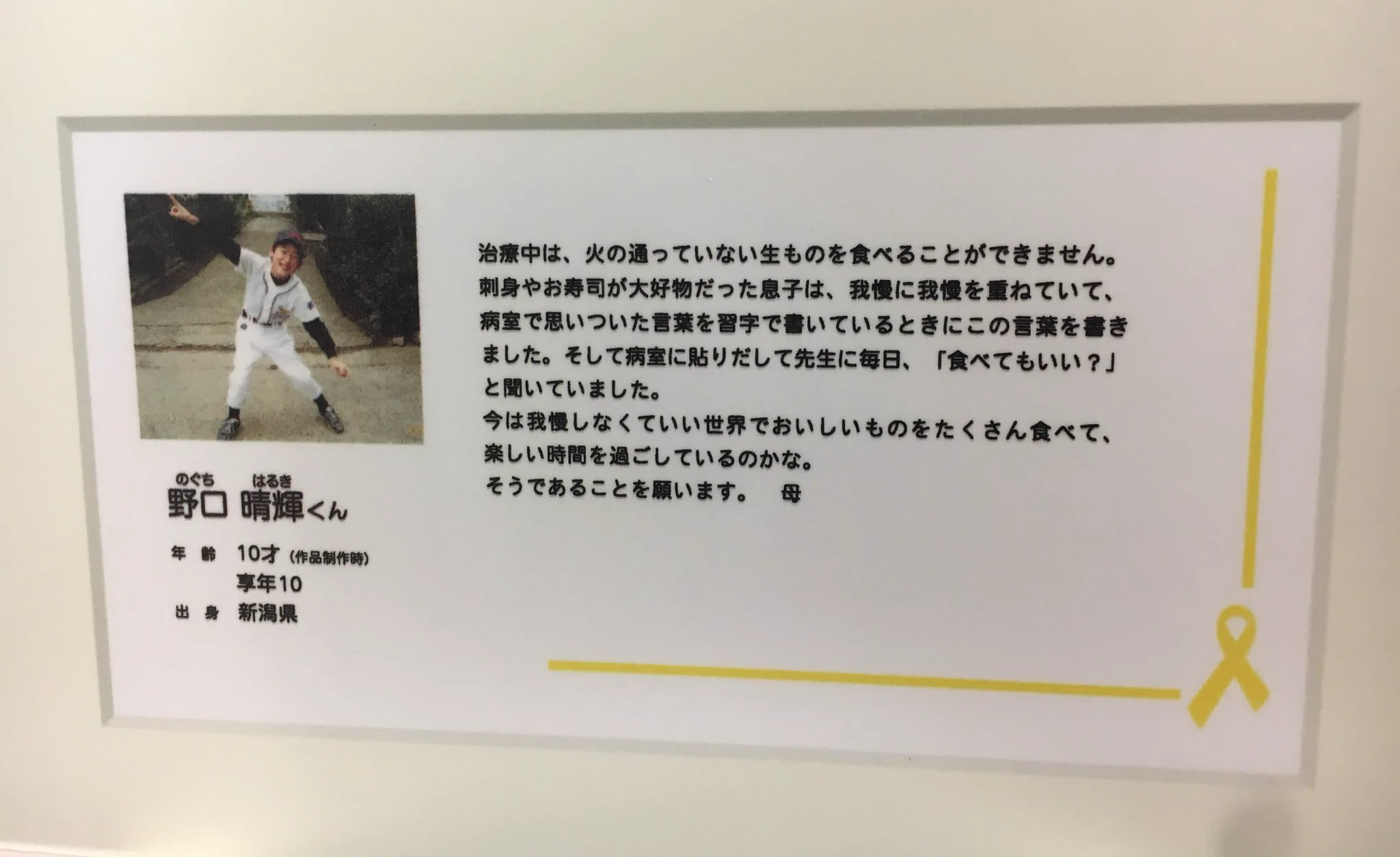 「さしみ食わせろ」謎の書道作品に込められた意味に涙…
