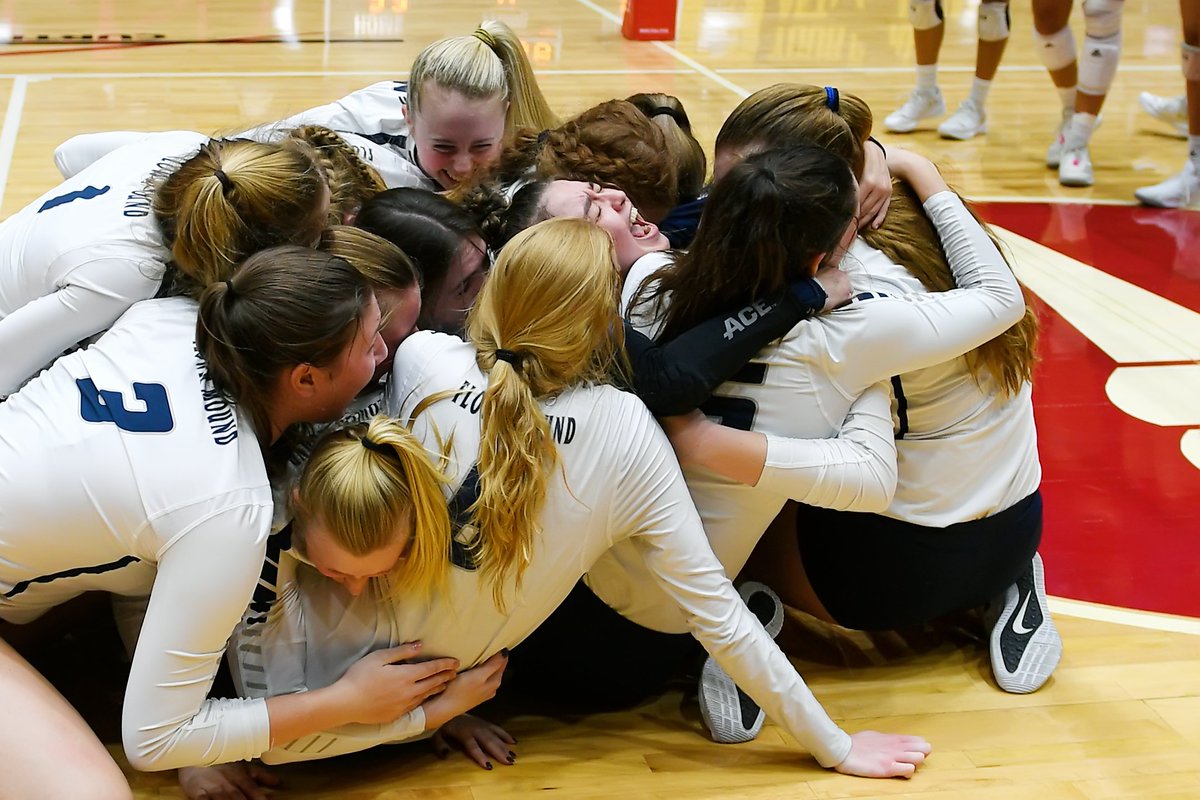 lorenziniphotog's tweet image. Sarah wanted a photo so here you go! Usually you get a dog pile but this magical group hug has every single Lady Jag in it.
