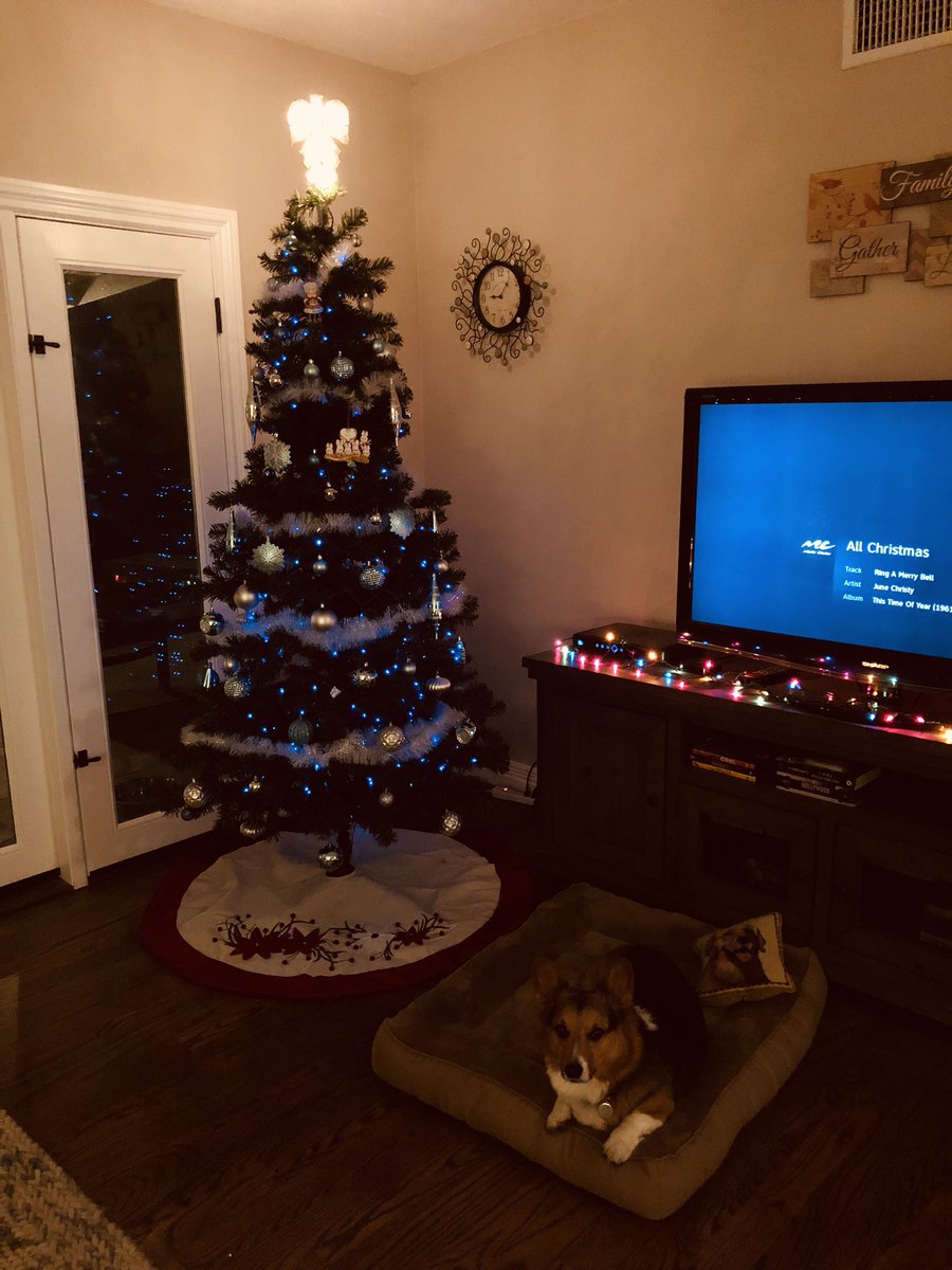 TeresaYaw's tweet photo. 🎄🎄🎄🎄🐶⛄️✨✨✨✨ I know it’s early but I’m just so happy I couldn’t wait 😭🙏🙏🙏🙏 https://t.co/uamgg5KhUo