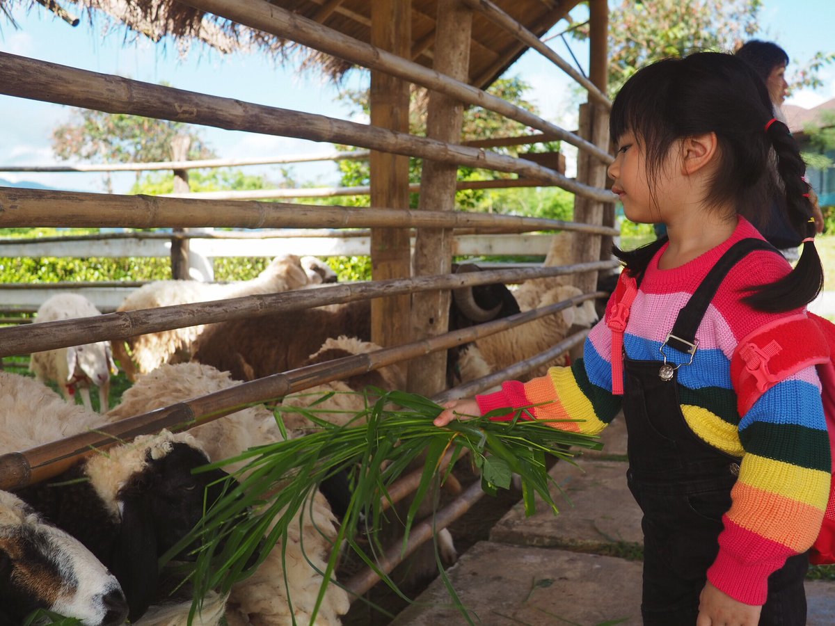 belleinsmile's tweet photo. ชูใจและน้องแกะ 👧🏻❤️🐏

#ชูใจ https://t.co/3Hgei0L3aj