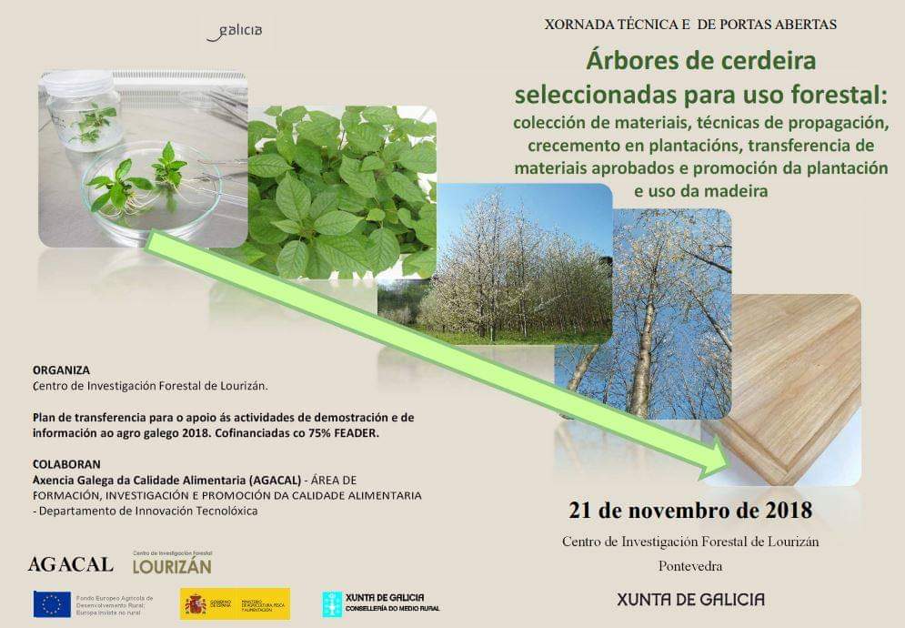 AFG_asociacion's tweet photo. #XornadaTécnica "Árbores de cerdeira seleccionadas para uso forestal". O 21 de novembro, no #CIF_Lourizán. Coa participación do Enxeñeiro da AFG, Braulio Molina #AFG_Difunde #AFG_Participa. https://t.co/zQyUOdNxyb