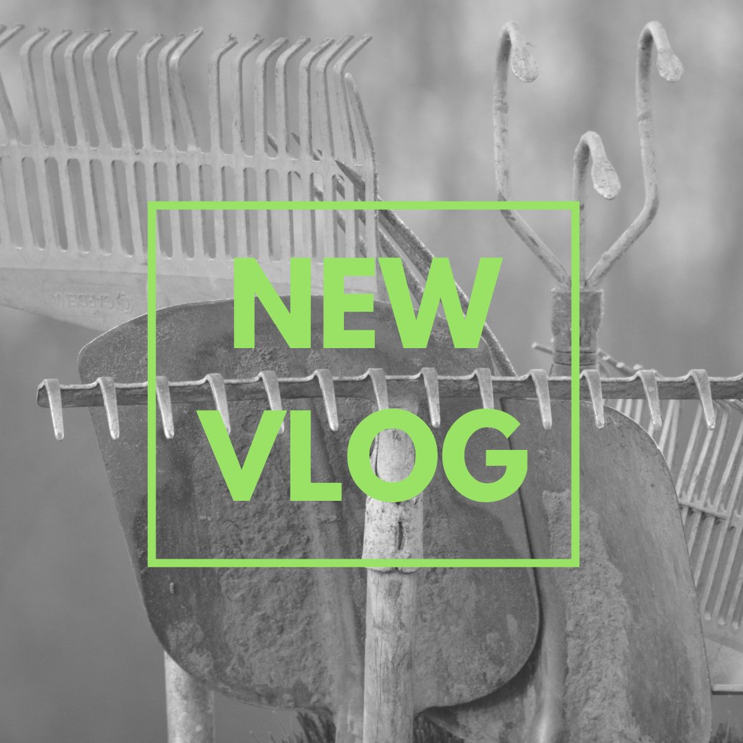 allotmentalice's tweet image. Heard of the term 'fine tilth' but never been sure what it is? 🙃Watch my latest Veg Gardener's Glossary vlog for @gardentags &amp;amp; unearth yours! #VegGardenersGlossary #tilth #finetilth #soil #garden #gardentips #allotment #vlog @GdnMediaGuild 

tinyurl.com/yb2p6boc