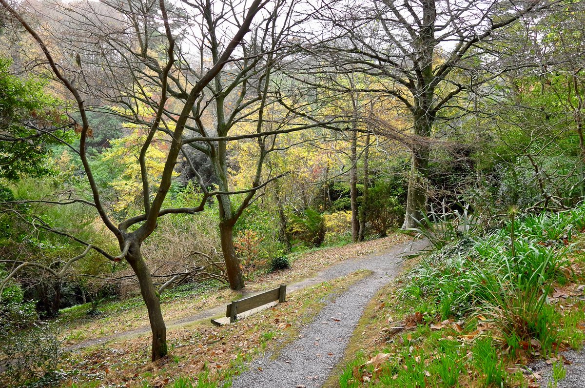 14Apartment's tweet photo. Beautiful #Coleton Fishacre ⁦@NTSouthWest⁩ on Saturday in #November. A lovely long #winter walk from our #holiday apartment in #Dartmouth #Devon ⁦@14Apartment⁩ ⁦@CandCC⁩ ⁦@VisitDevon⁩ ⁦@discoverdart⁩ https://t.co/Jln55zoafF