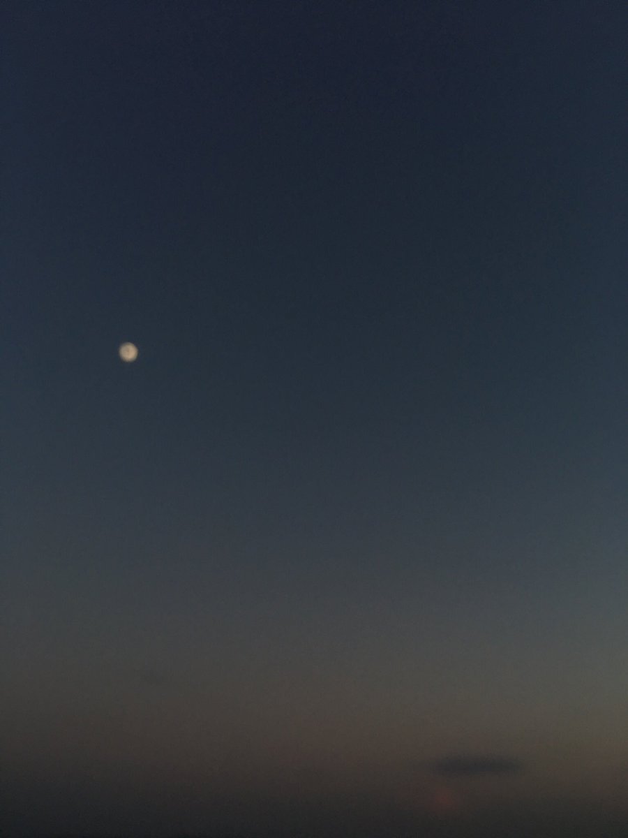 dailymoonpics's tweet photo. you are my light in the dark https://t.co/v8DAXwAT7t