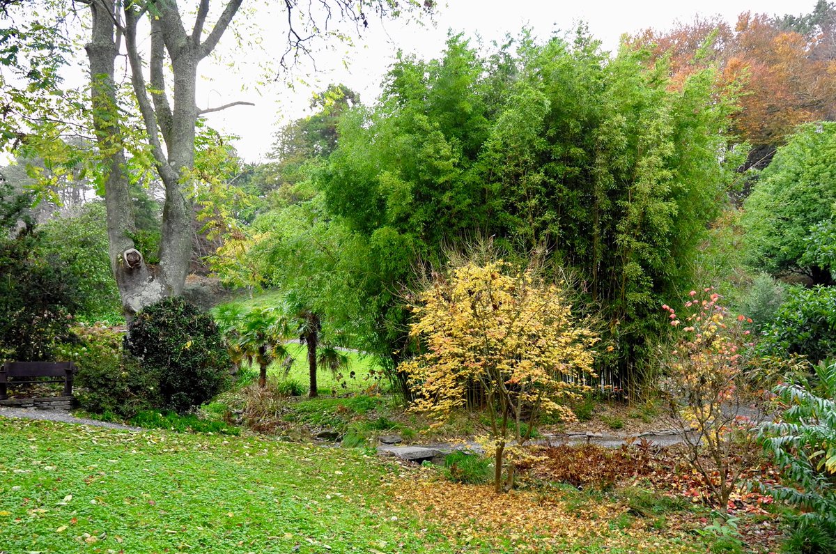 14Apartment's tweet photo. Beautiful #Coleton Fishacre ⁦@NTSouthWest⁩ on Saturday in #November. A lovely long #winter walk from our #holiday apartment in #Dartmouth #Devon ⁦@14Apartment⁩ ⁦@CandCC⁩ ⁦@VisitDevon⁩ ⁦@discoverdart⁩ https://t.co/Jln55zoafF