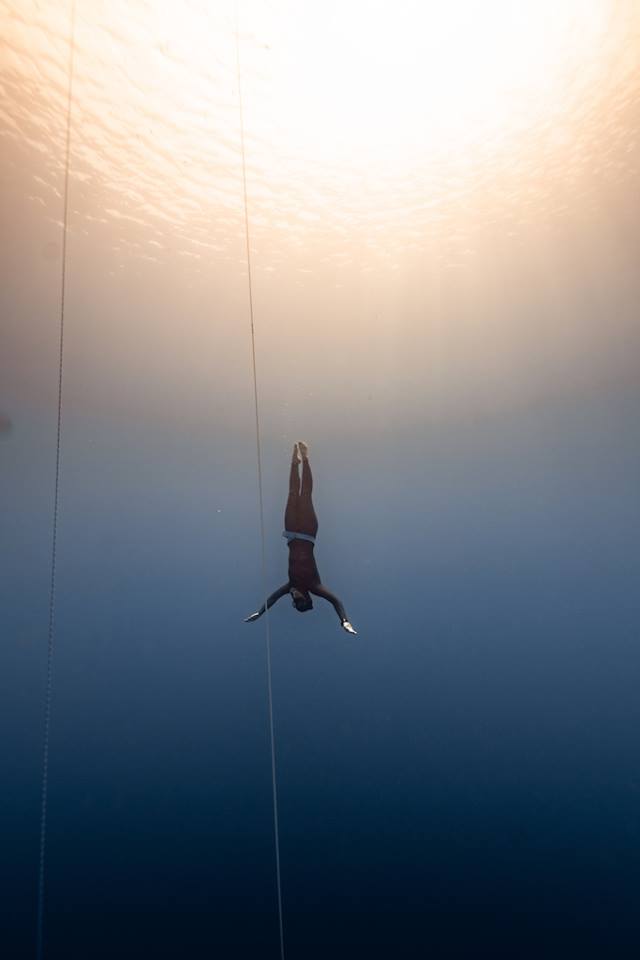AquacityFree's tweet photo. The weather in #Dominica may be mercurial but the #freediving is consistently epic, as you can see in these beautifully moody images by @FreediverDaan #BlueElement #BE2018 #underwaterphotography #underwaterart #training #freedivetraining https://t.co/kyAgKWMZDD