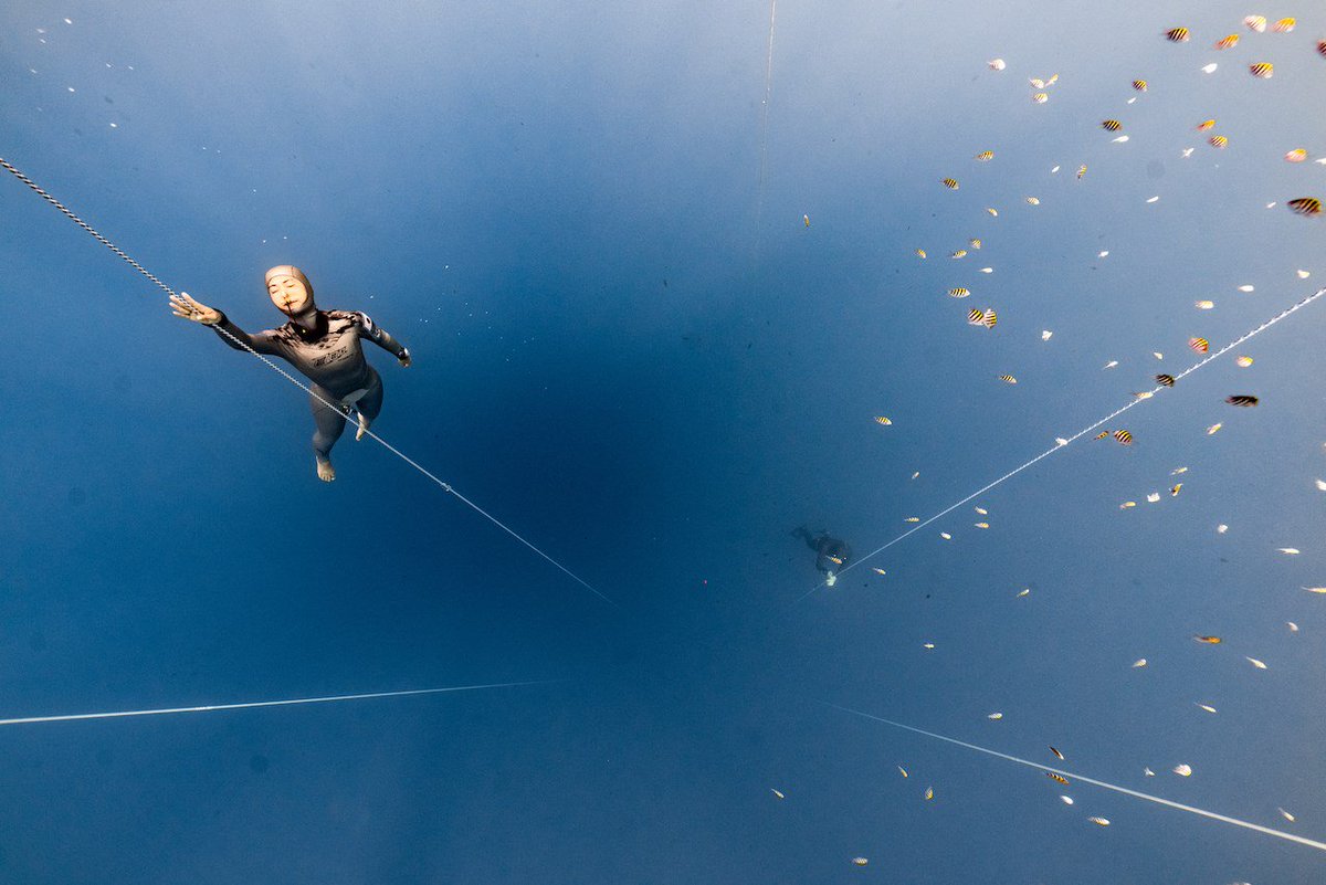 AquacityFree's tweet photo. The weather in #Dominica may be mercurial but the #freediving is consistently epic, as you can see in these beautifully moody images by @FreediverDaan #BlueElement #BE2018 #underwaterphotography #underwaterart #training #freedivetraining https://t.co/kyAgKWMZDD