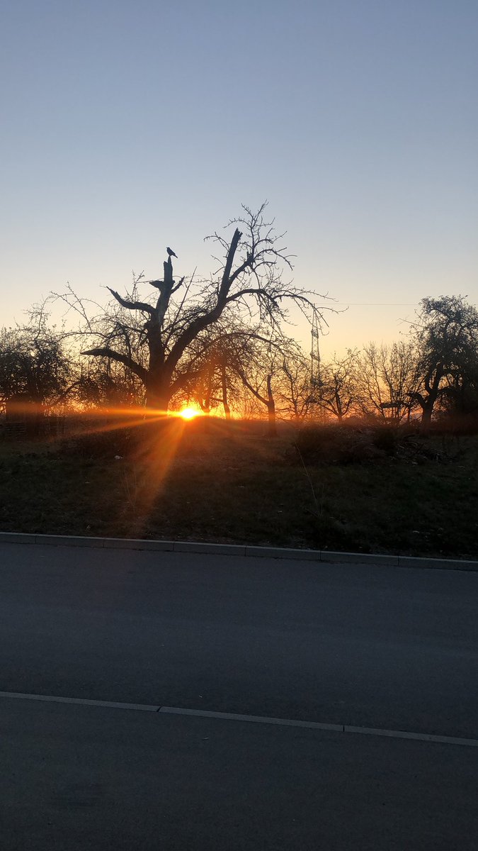 Pattahsee's tweet photo. Have a beautiful day all https://t.co/2lsuKBQYvG