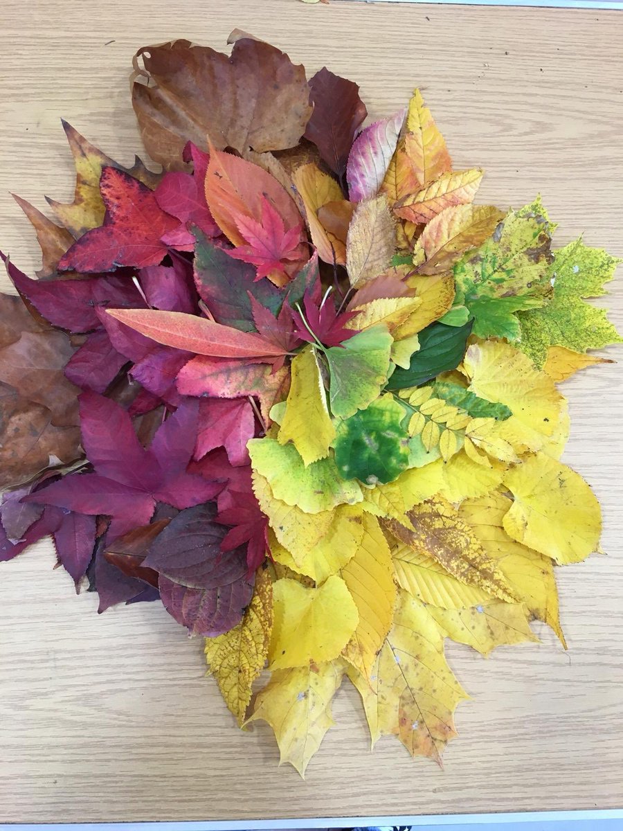 artintheparktwt's tweet photo. Photos from our #outdoorsouthwark project where we will be creating a booklet of walk ideas suitable for people affected by dementia. Working with the Daffodil cafe, a regular weekly group in Nunhead to research and try our best practices thanks to funding from @BigLotteryFund 🍂 https://t.co/HrS8opGpxg