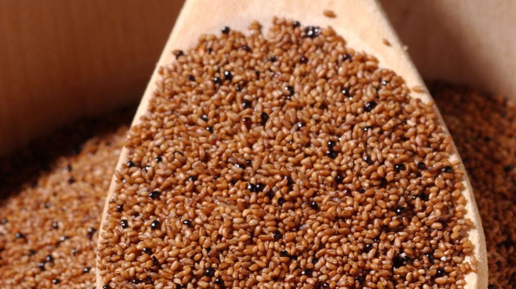 Harina de teff contraindicaciones Harina de teff contraindicaciones