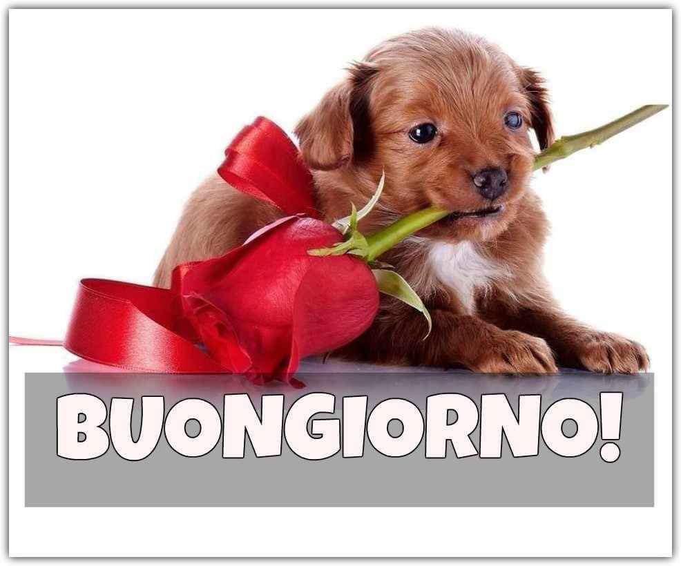 bobo_610's tweet photo. Io taggo
Tu tagghi
Egli tagga
Noi tagghiamo
Voi taggate
Essi taggano
#VoceDelVerbo #taggare
#BuonaDomenica #taggatiEnon 😘
@RomanistaDeCore @rascka17 @Tricky_19 @italiano705 @guagnano_paolo @papiniste @presselli_s @lauraferraro44 @MolininiN @fhummergolde @ValentinaFant18 https://t.co/qnOLzxDd4g
