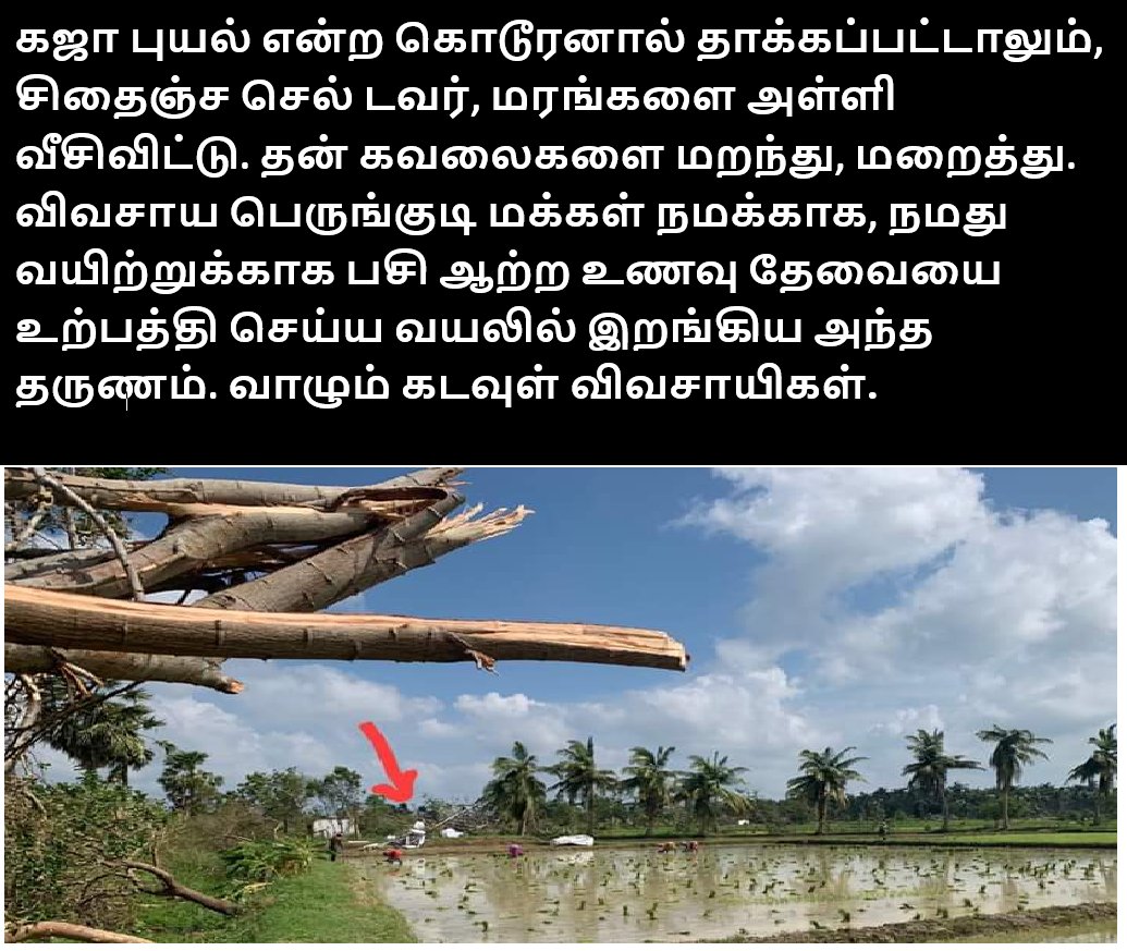 ImVenkatG's tweet photo. #SaveDelta 
#SaveDelta 
#SaveDelta 

🙏🙏🙏 வாழும் கடவுள்கள் விவசாயிகள் 🙏🙏🙏

#GajaCyclone  #TamilNadu #GajaRelief #Gaja #GajaCycloneUpdates #GajaCycloneUpdate #GajaCycloneAlert #Gajastorm 

#TTV4TNCM #TTVDhinakaran #TTVDinakaran
#AMMK #AMMKforTN #JoinAMMK https://t.co/Gy7RTUihNd