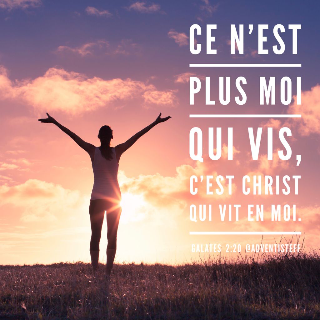 AdventisteFFN's tweet photo. Une transformation quotidienne ! JOUR 9. La méditation d’aujourd’hui: https://t.co/YdZmZhkPcu Inscris-toi sur https://t.co/YR9F9HW14N #implicationtotale #esperance2019 #40joursdepriere #adventisteffn #40daysofprayer https://t.co/nk4mgQ0VI4