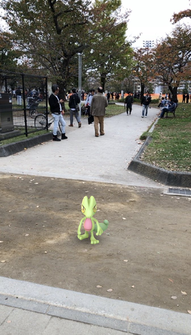 かいこー 今日もポケモンgoをしに錦糸公園へ 後半はボールが2回揺れて捕まらないパターンが多くて少しイライラしてた 汗 キモリや色違イーブイも