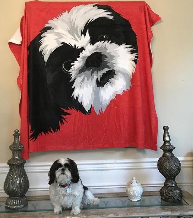 PetPrintPaw's tweet photo. Get exclusive christmas gift for your fur baby.
.
.
.
#dogsonadventure #dogsthathike #westcoastbestcoast #hikingwithdogs #stayandwander #modernoutdoors #greettheoutdoors #bestdog #dogsofinstaworld #dogsandpals #dogscorner #worldofcutepets #petsofinstagra… https://t.co/t04Q8ODUkN https://t.co/LrrSPHhFpS