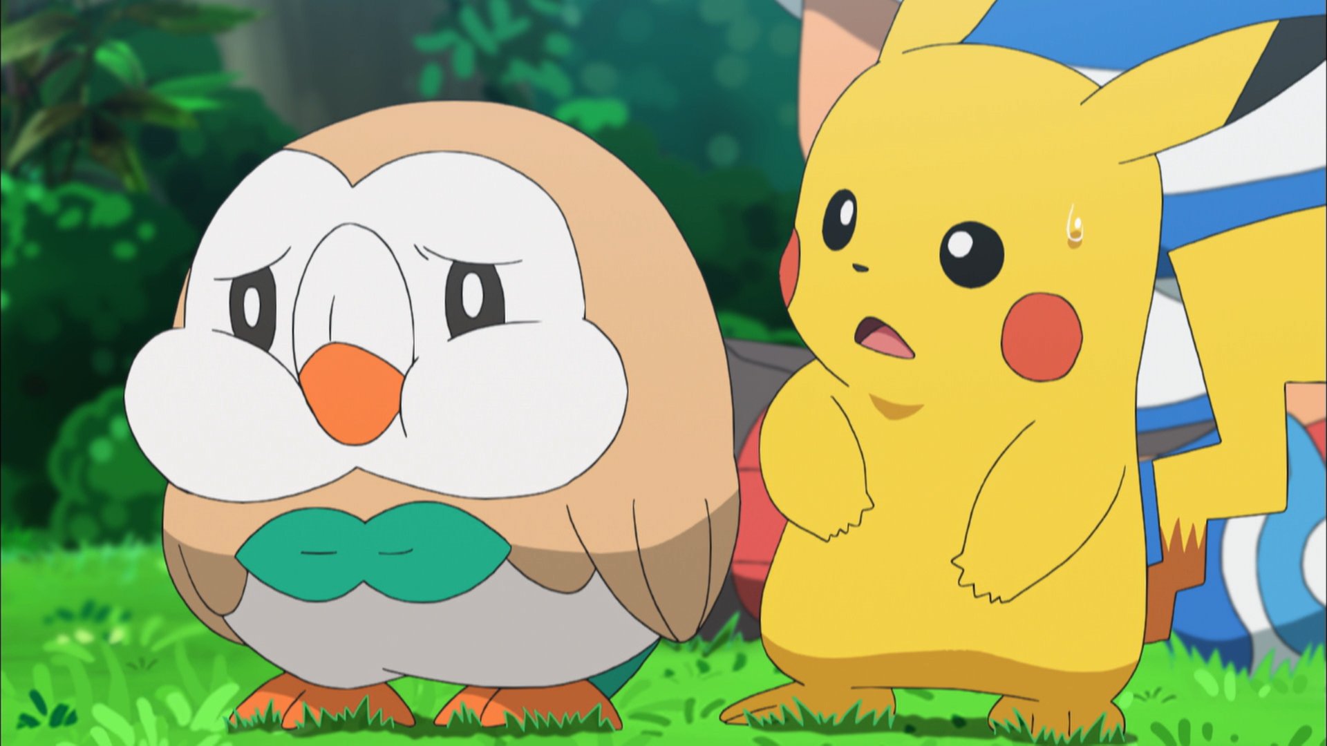 ルーン Pokemon Cojp ふくれっ面モクローめっちゃ可愛い Twitter