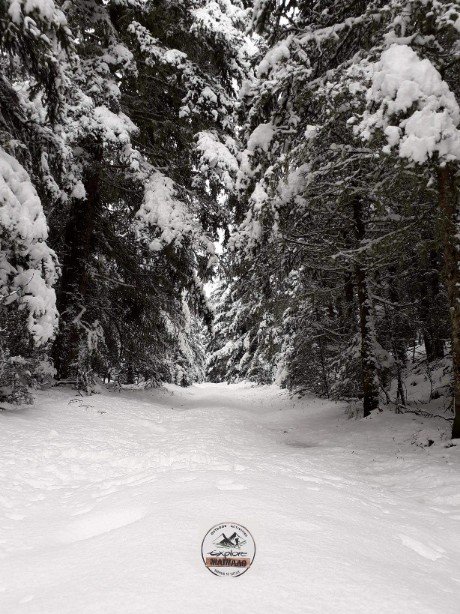 xionodromika_gr's tweet photo. 40+cm φρέσκο #χιονι στα 1770m, στο Χιονοδρομικό Κέντρο Μαινάλου - Menalo Ski Center 17.11.2018
Φωτογραφίες: Explore Mainalo
στο δρόμο από #Βυτινα προς το Χ/Κ.
#mainalo #xionodromiko #μαιναλο #χιονοδρομικο https://t.co/tQgfc261EN