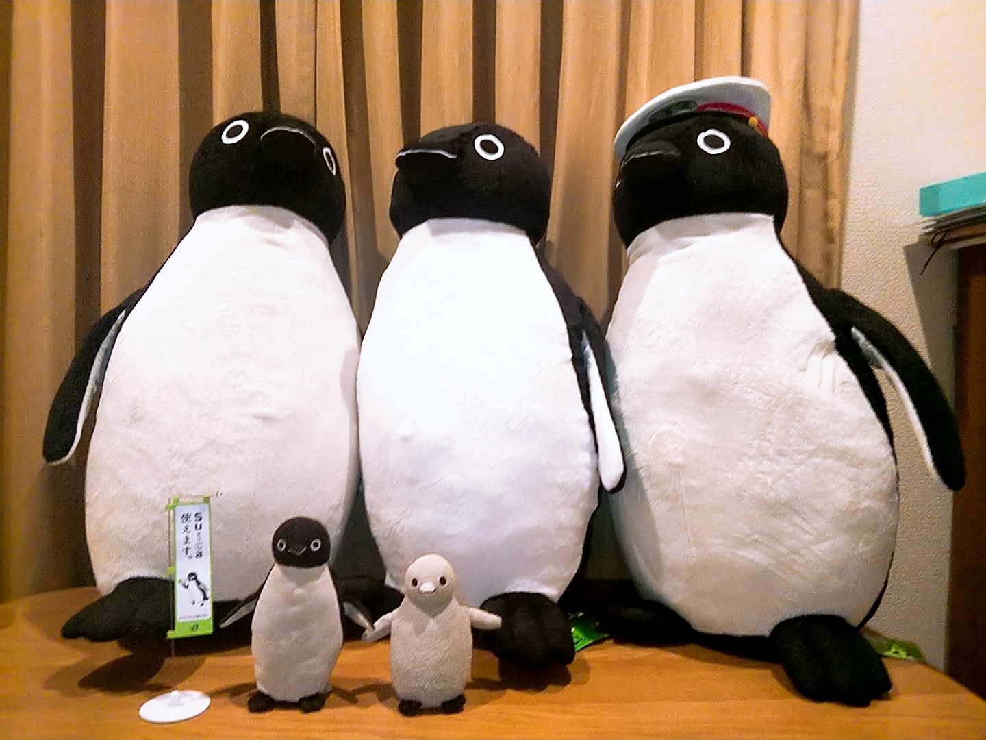 町 Rt Suicapengin1111 というわけでおうちに新バージョンのsuicaの ペンギンぬいぐるみxlさんがやってきました やはり少し旧ペンギンさんと比べると小ぶりのようですが相変わらずおおきいことに変わりはありません 新品の証拠におなかが