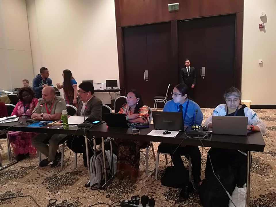 El Ministro de Ambiente y Energía de #CostaRica Carlos Manuel Rodríguez nos acompaña en el Caucus indígena.#EgyptCOP14 #UNBiodiversityConference #FIIB #IIFB #RMIB #MujeresIndígenas #MujeresIndígenasYBiodiversidad #COP14