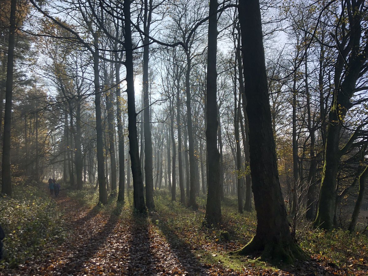 monstervoyage's tweet photo. @travthroughlife @BarnetteJason @knoxdaytripper @miliman12photos @Charlottgotalot @nctripping @AmyBethWright @AnnaMarieWrites @HeidiSiefkas @DanaHFreeman That looks so peaceful ☺️👌🏻 Had a wonderful day doing a 6 mile walk at #farleighwallop in #hampshire! Such beautiful scenery and crisp clear blue skies ahhhh!! https://t.co/PxztZRyOeg