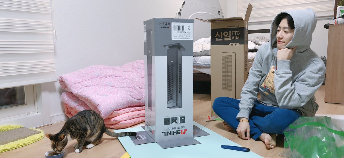 theqoo inserted image