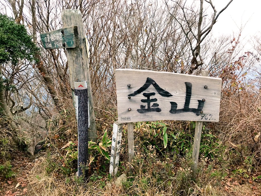 登山行ってきた〜雨がパラついてせっかくの絶景も100点じゃなかったけどすごい楽しかった！ 