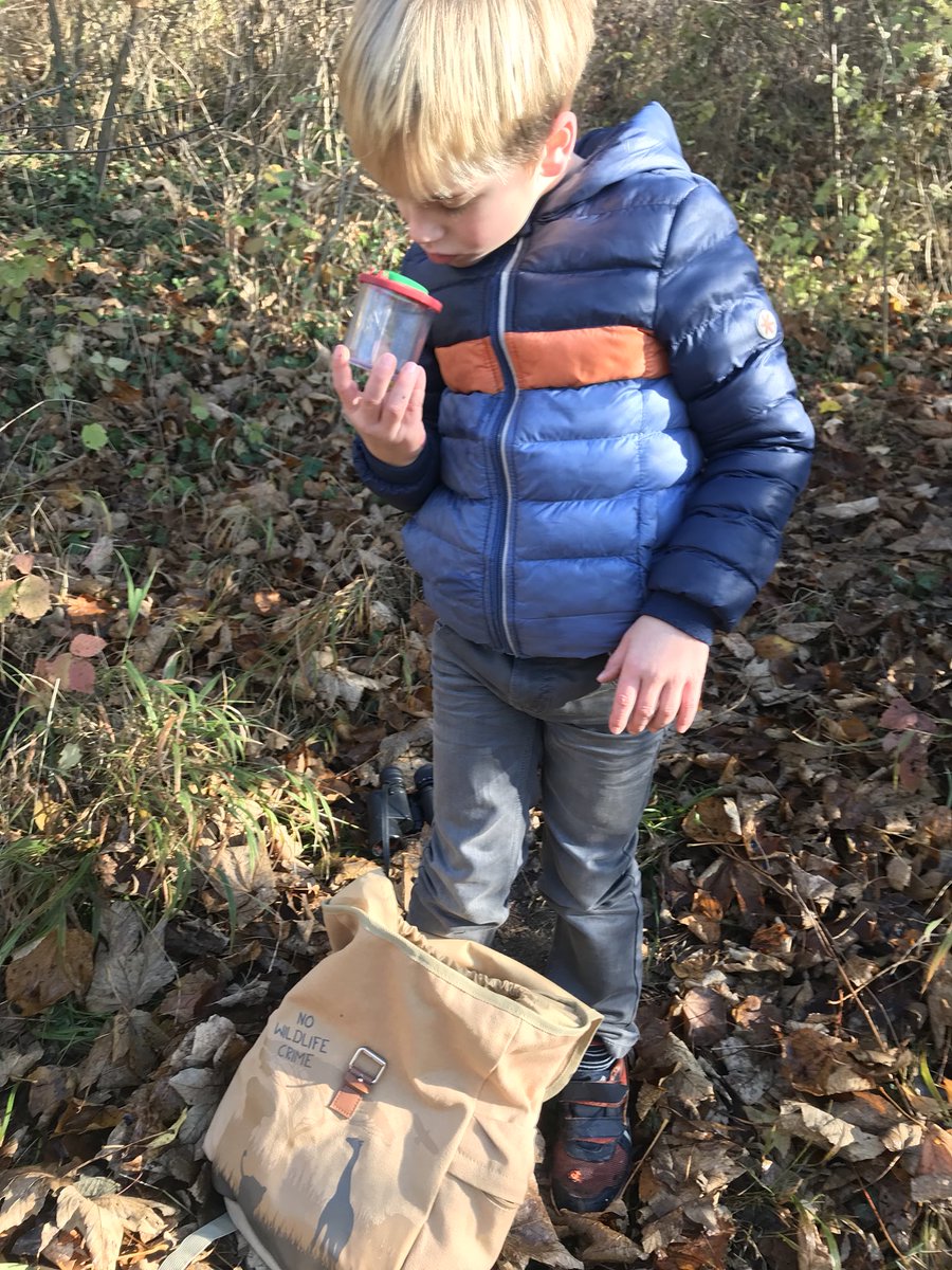 WildLifeMarc's tweet photo. Samen met Pim op zoek naar kraanvogels en bodemdiertjes. Was een heerlijk stukje lopen door het Heuvelland. https://t.co/b5ulyf2Kj2