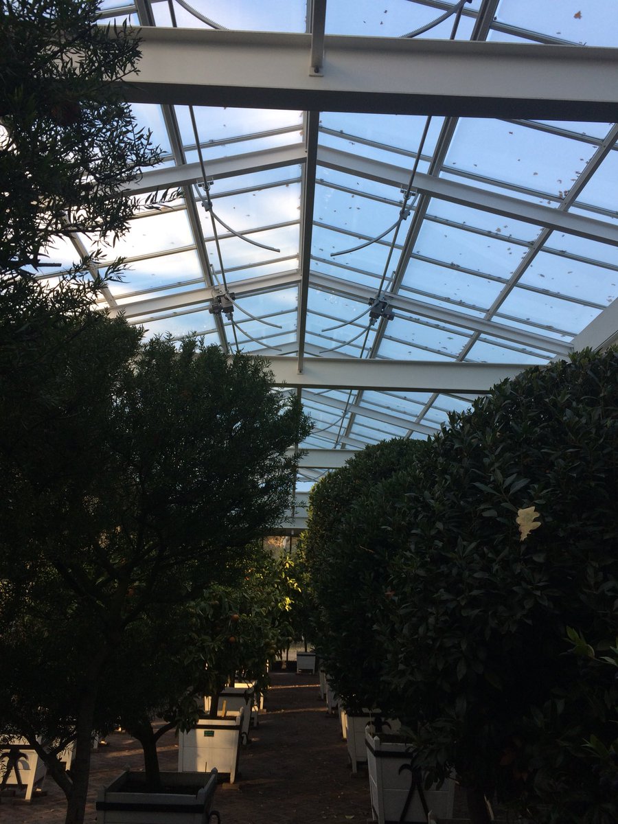 Nieuwe orangerie. Alles functioneert zo al het hoor. Boven kap dicht beneden de 5 C. Nu buiten 1 C en in de kas 8 C. Precies de goede. Luchtvochtigheid 70 %. Toppie 👍