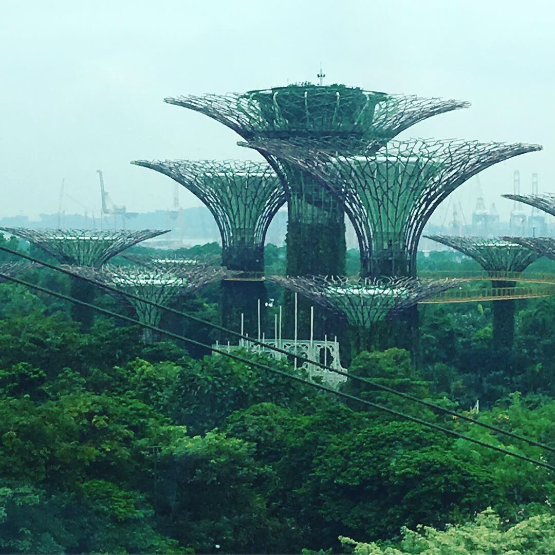 KFitzgerald2012's tweet photo. Last week of @ANZSOG Executive Fellows Program in Singapore - spent our day off touring the amazing sites https://t.co/2Wp2PUn4jR