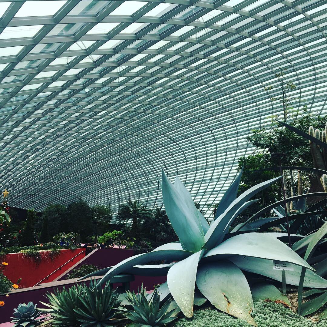 KFitzgerald2012's tweet photo. Last week of @ANZSOG Executive Fellows Program in Singapore - spent our day off touring the amazing sites https://t.co/2Wp2PUn4jR