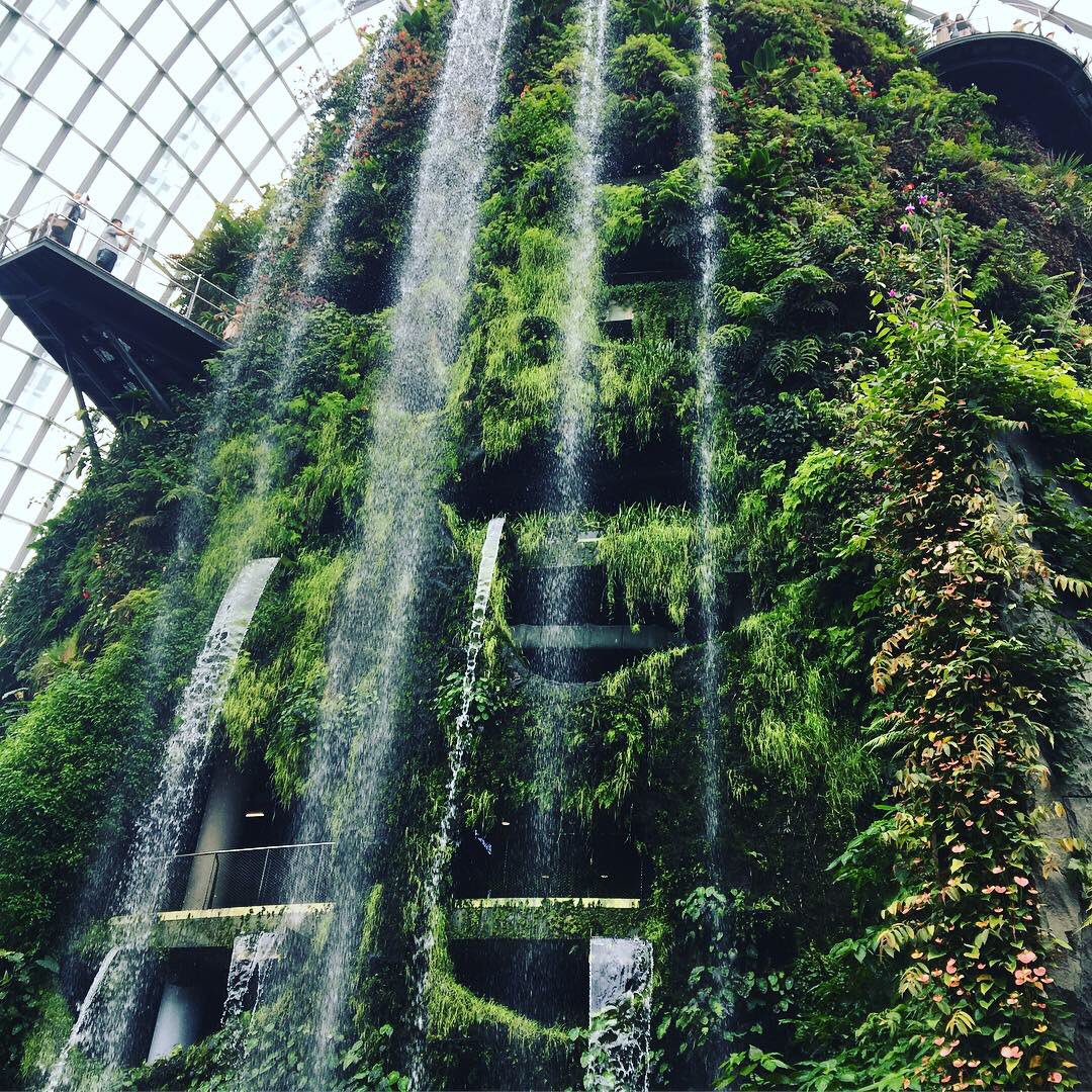 KFitzgerald2012's tweet photo. Last week of @ANZSOG Executive Fellows Program in Singapore - spent our day off touring the amazing sites https://t.co/2Wp2PUn4jR