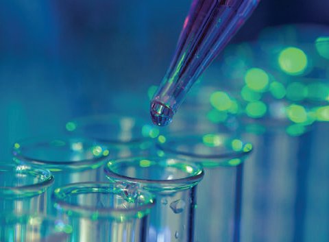 medlabstores.com has experienced hands in sourcing
right product as per international standards. Please choose medlabstores.com as your sourcing partner in all your procurement needs from our wide range of products for your laboratories and Hospitals. 3/3
