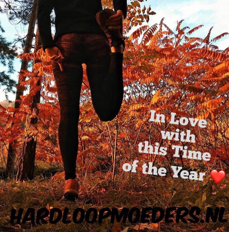 hardloopmoeders's tweet photo. Succes en plezier @7Hloop #Zevenheuvelenloop ! Een prachtige 🍁☀️ #hardloopdag voor jou! https://t.co/v777kvscEP