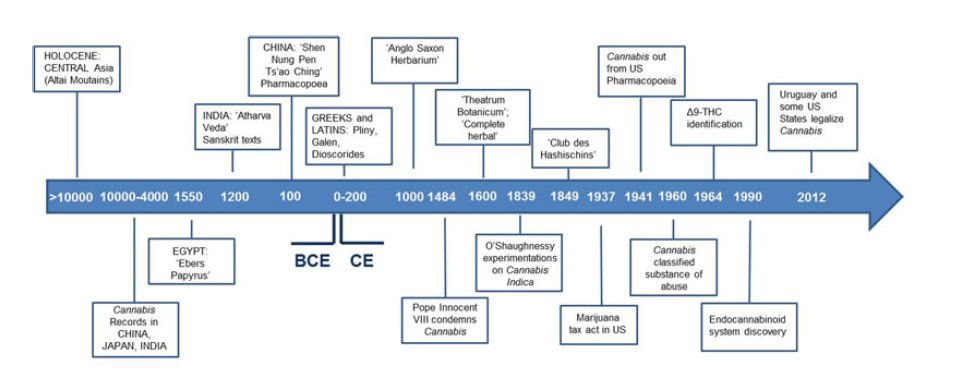 accounting and financial management for bca and mca