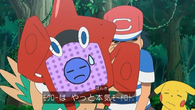 スイレン モクローかわいいいいい Anipoke