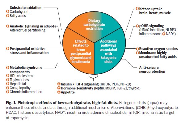 fcbzafra's tweet photo. Dietary fat: From foe to friend? 
Ludwig et al., Science 362, 764–770 (2018)
Avaible:  https://t.co/0TJcaRBic9
Special Issue: Diet and Health
https://t.co/VFn8bsQOdi
@sciencemagazine https://t.co/d8ybkmzaCl