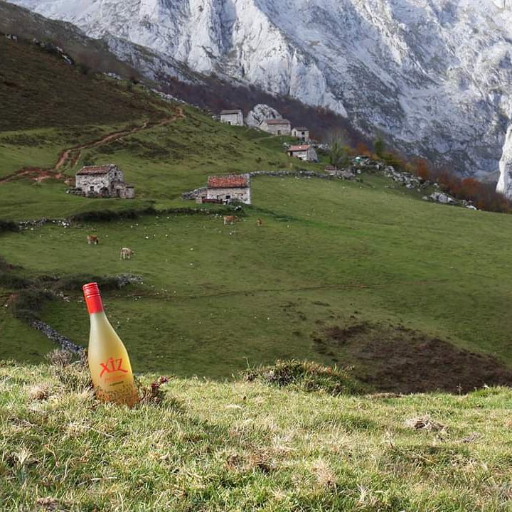 SIDRACASTANON's tweet photo. ¿Damos un paseo por el monte? disfrutar de la montaña así como una botella de Xiz frizzante son "Pequeños placeres que saben a gloria" Foto de: Antonio J. Ruiz de Bucesta #Refrescatusmomentos #Xiz #frizzante #Asturias #sidra #cider #moscato #manzana https://t.co/rpEUef7Qwm
